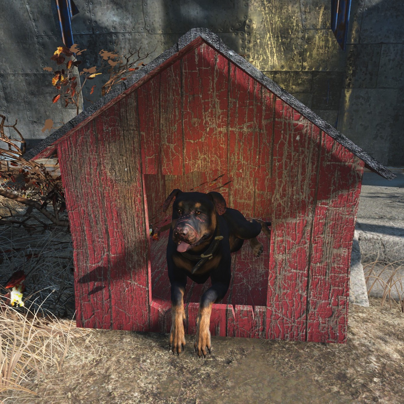 fallout shelter pet wasteland junk