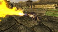 Gecko (Fallout: New Vegas) | Fallout Wiki | FANDOM powered by Wikia