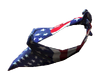 Stars and Stripes bandana