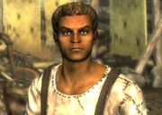 Flash FO3
