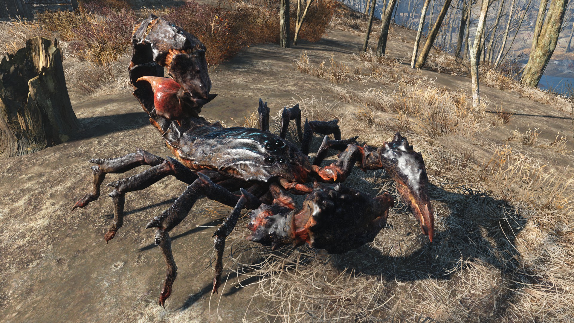 FO4 Radscorpion.jpg