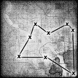 Caravan Trade Route