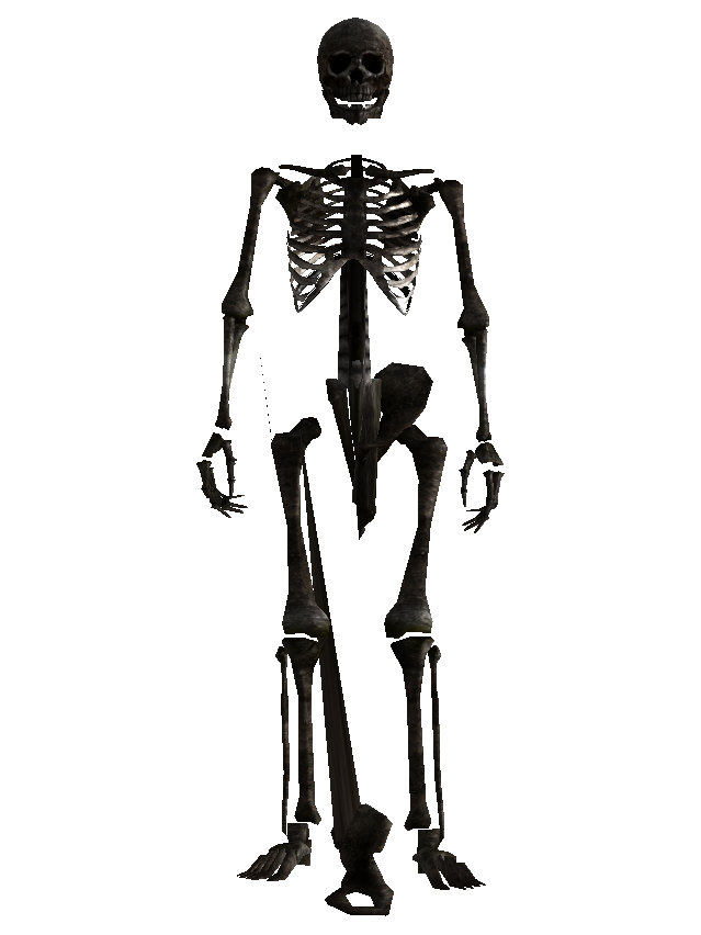 y 17 advanced animatronic