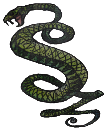 Image result for tunnel snakes logo