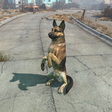 Dogmeat Fallout 4 Fallout Wiki Fandom