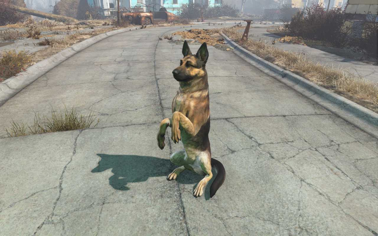 Image - Fo4 Dogmeat's trick.png | Fallout Wiki | FANDOM powered by Wikia