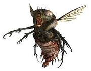 Bloat