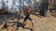 FO76 Scorched conqueror