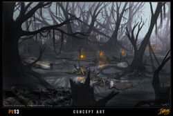 Swamp