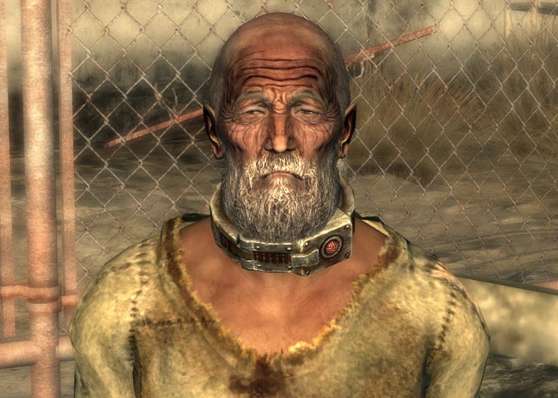 Fallout 3 slaves