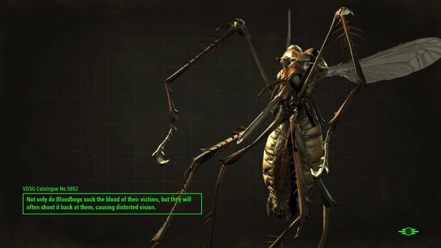 File:FO4 Bloodbug loading screen.jpg