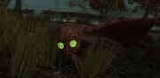Scorched mothman
