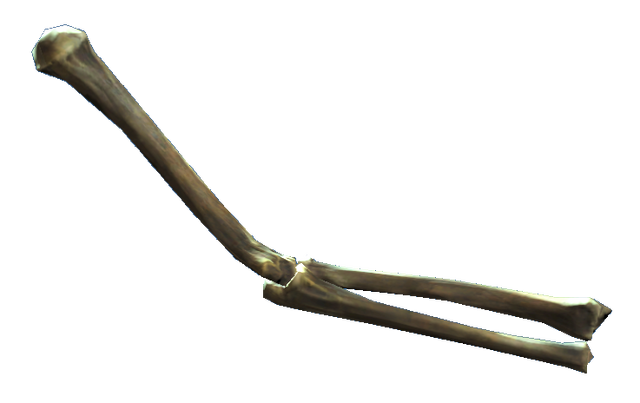 Image - Left arm bones.png | Fallout Wiki | FANDOM powered by Wikia