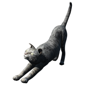 Cat Fallout Wiki Fandom