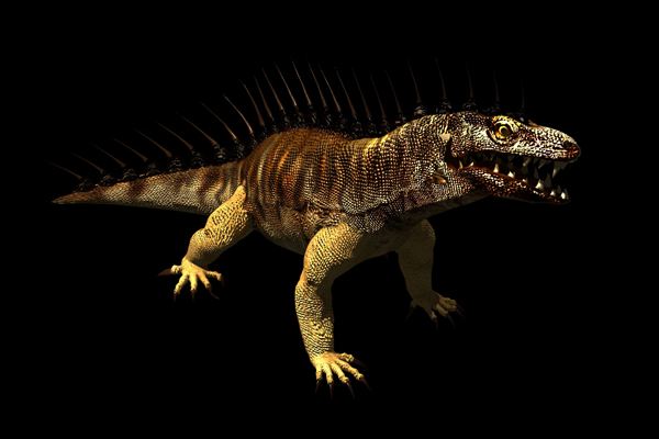 Komodo dragon | Fallout Wiki | FANDOM powered by Wikia