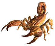 Bark scorpion FNV