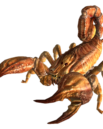 Bark Scorpion Fallout Wiki Fandom
