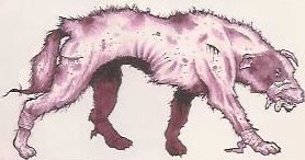 Wild Mutant coyote.jpg