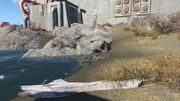 FO4 Bottle message - Difficult to Kill