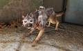 Image - Fo4 heavy dog armor.png | Fallout Wiki | FANDOM powered by Wikia