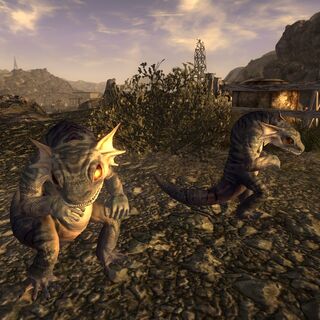Gecko (Fallout: New Vegas) | Fallout中文維基 | FANDOM powered by Wikia