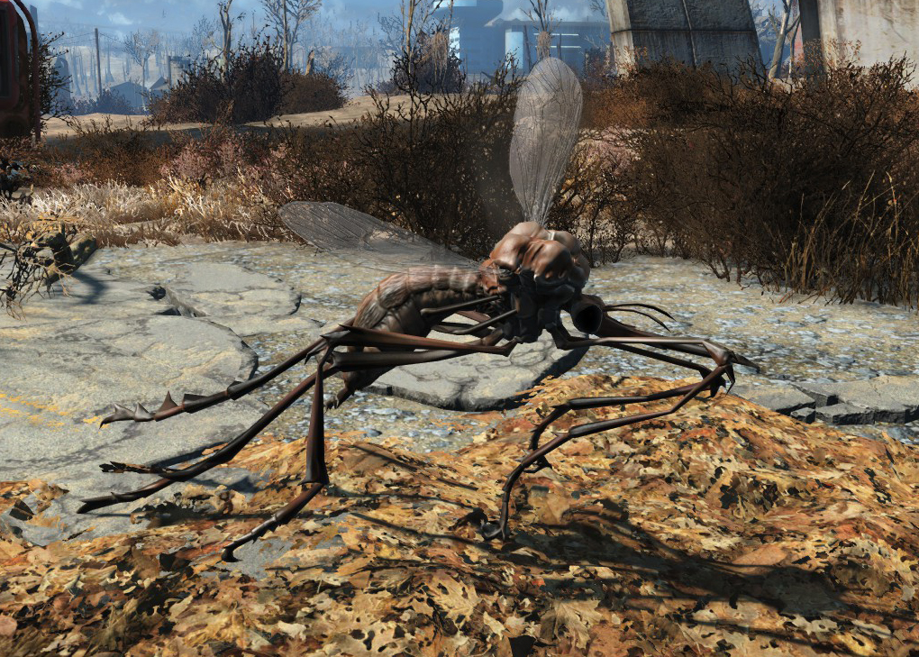 FO4 Bloodbug.jpg