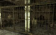 FNV Anderson and Contreras in Prison
