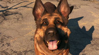 Dogmeat Fallout 4 Fallout Wiki Fandom