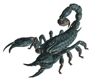 Radscorpion