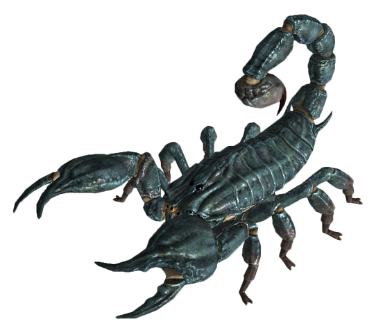 Файл:Radscorpion.png
