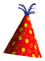 Party Hat