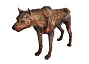 Vicious dog