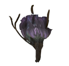 Tato flower Fallout Wiki FANDOM powered by Wikia Tato flower Fallout Wiki FANDOM powered by Wikia