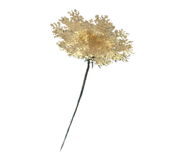 Carrot flower | Fallout Wiki | FANDOM powered by Wikia