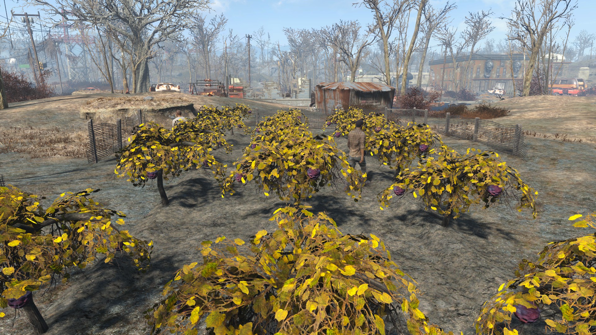 Fallout 4 зачистка кантри кроссинг фото 13