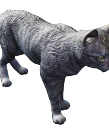 Cat Fallout Wiki Fandom