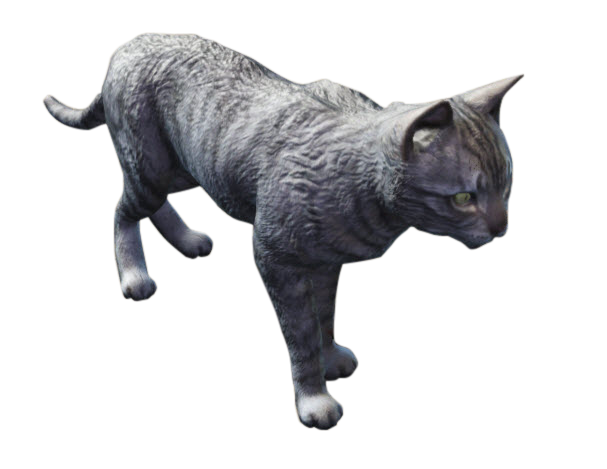 Cat House Fallout 4 Cat House Fallout 4