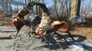FO4 Albino Radscorpion