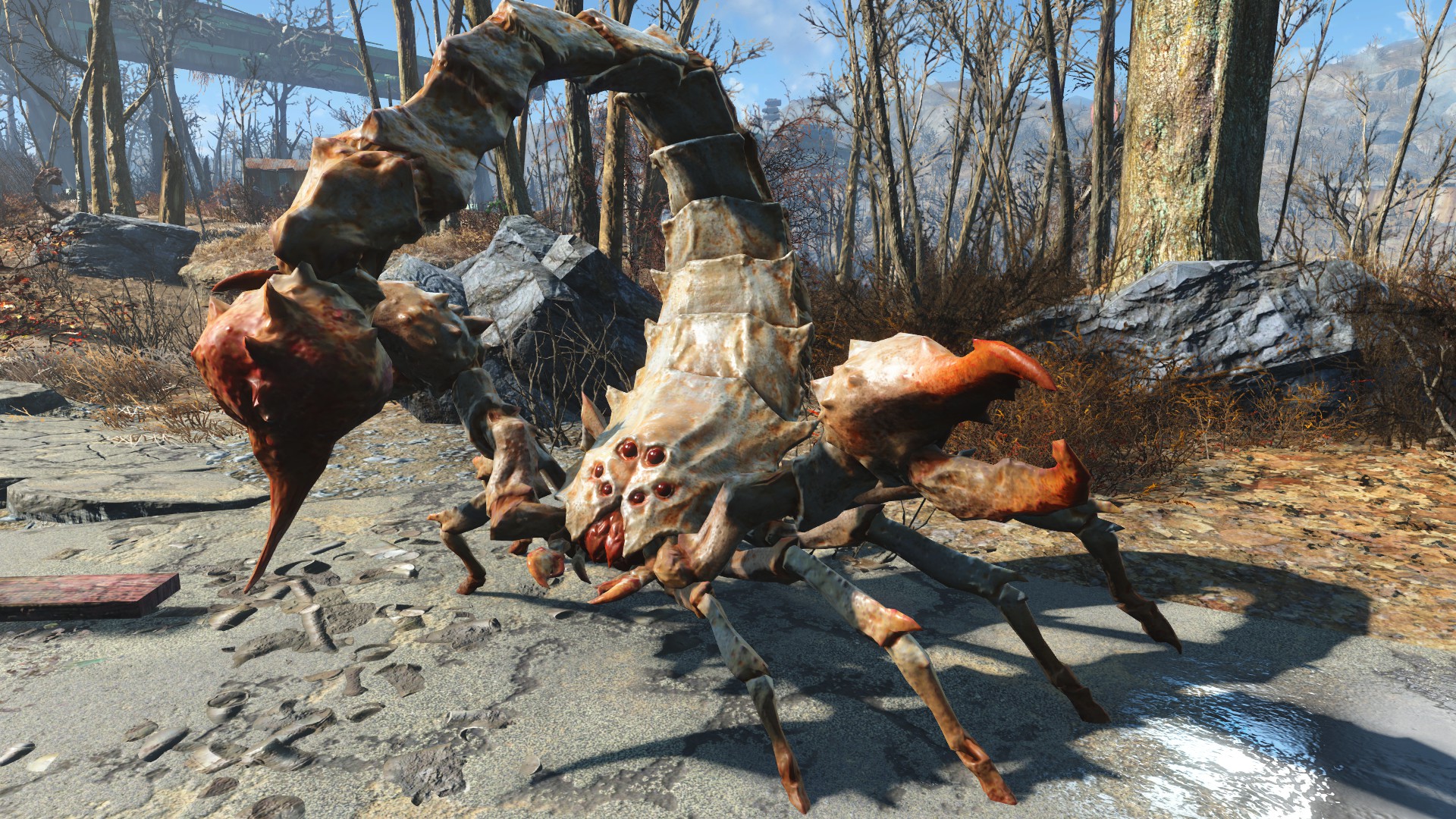 FO4 Albino Radscorpion.jpg