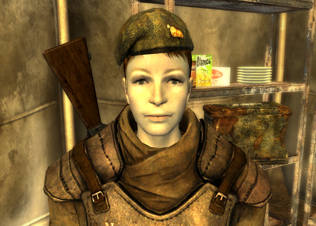Fallout New Vegas No, Not Much Fallout New Vegas No, Not Much