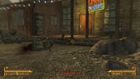 Fallout new vegas texture glitch