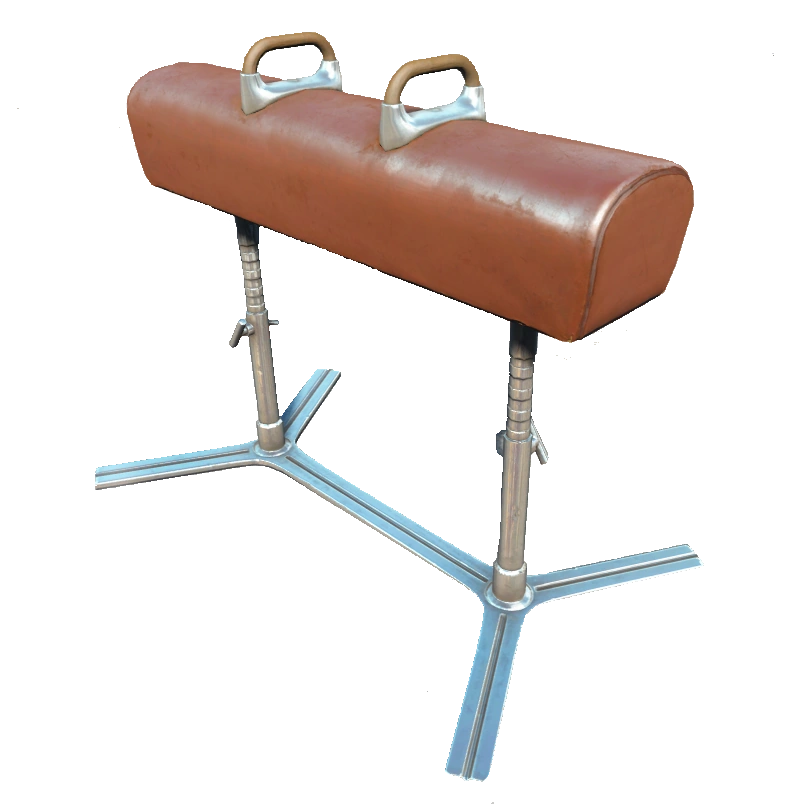 Pommel horse Fallout Wiki FANDOM powered by Wikia