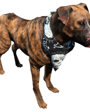 Dog Fallout 76 Fallout Wiki Fandom