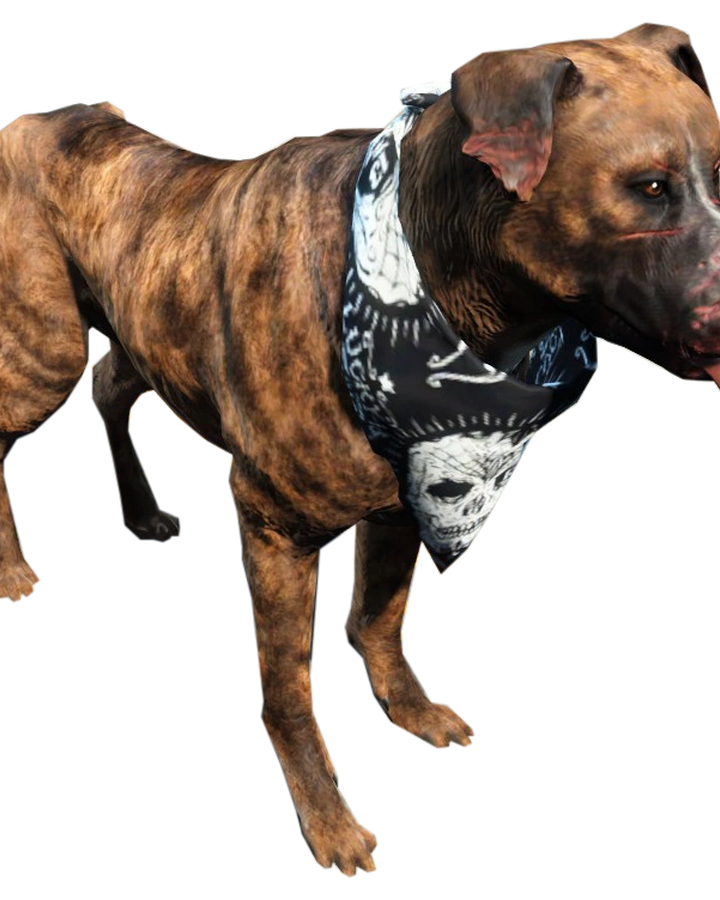 Dog Fallout 4 Fallout Wiki Fandom