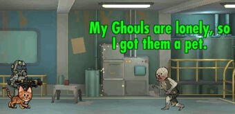 Dog Shelter Fallout Wiki Fandom