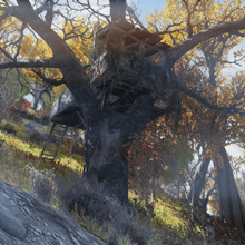 Alpine River Cabins Fallout Wiki Fandom