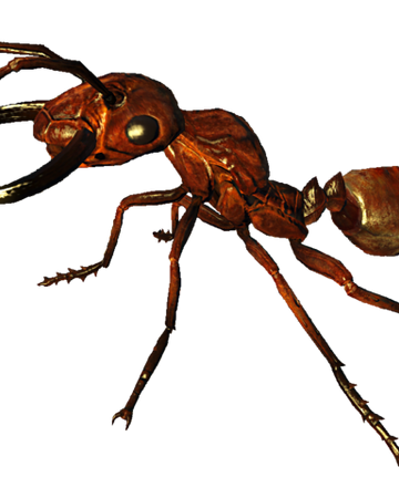 Ant Nuka World Fallout Wiki Fandom