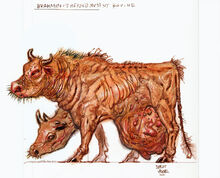 BrahminCA1