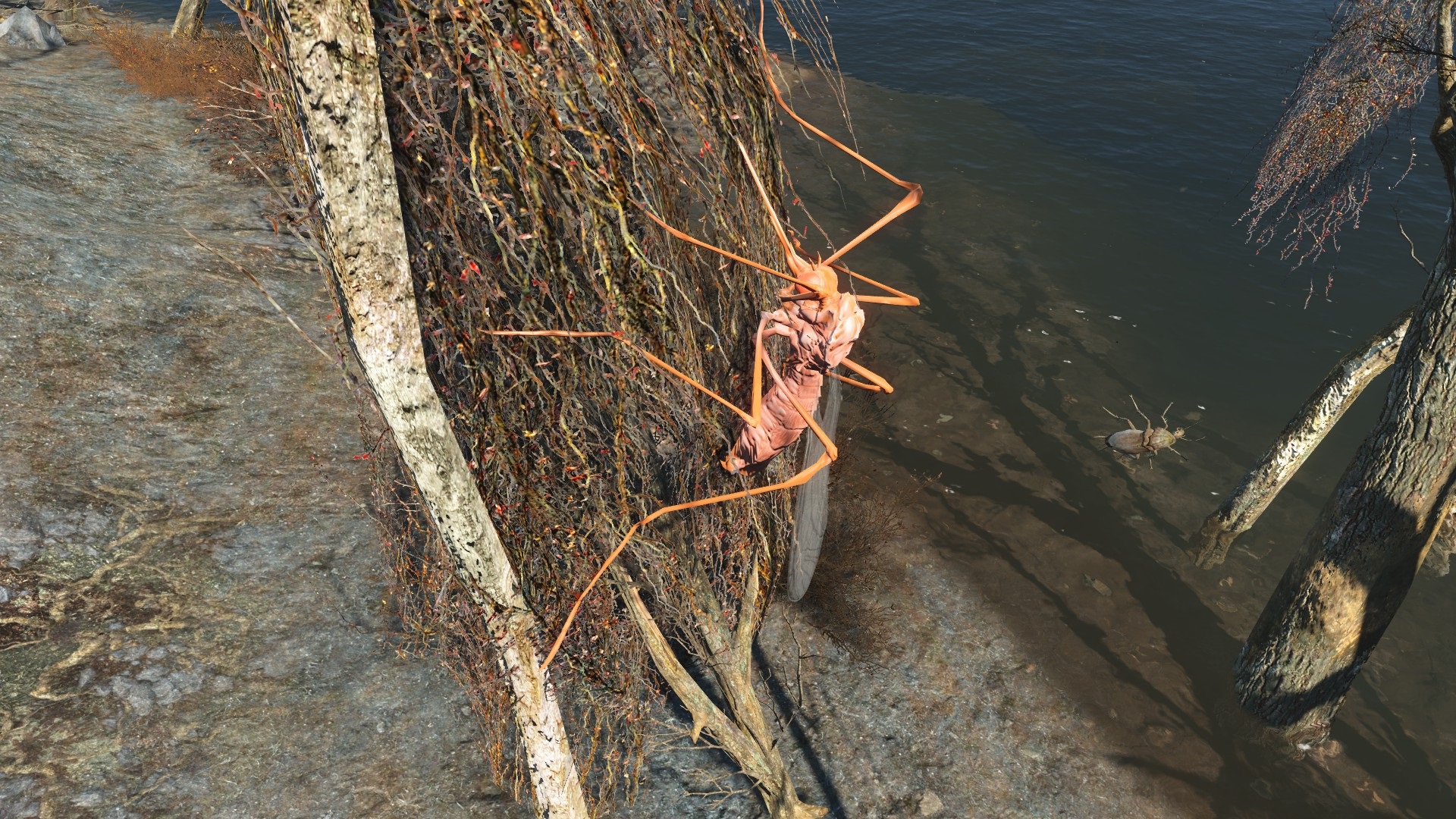 FO4 Bloodbug Hatchling.jpg