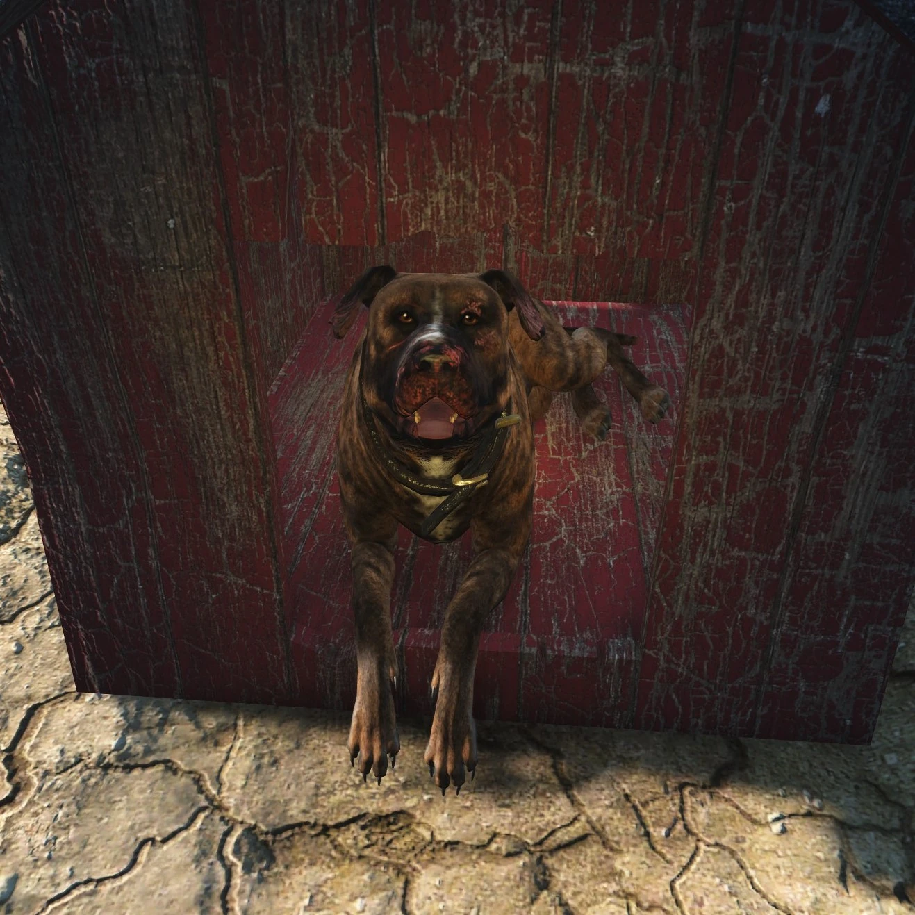 Image FO4Junkyard dogbrown.jpg Fallout Wiki FANDOM powered by Wikia